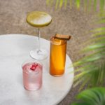Qu’est-ce qui rend un bar à cocktail à Lyon mémorable pour ses visiteurs ?